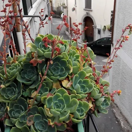 Frühstückspension Erminia *