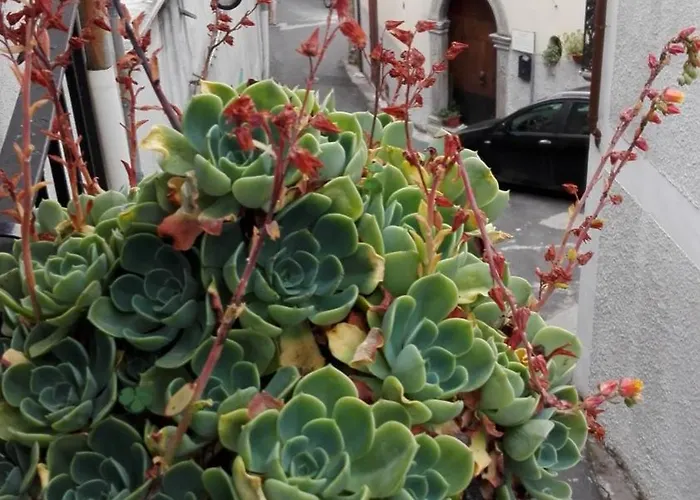 לינה וארוחת בוקר Erminia *